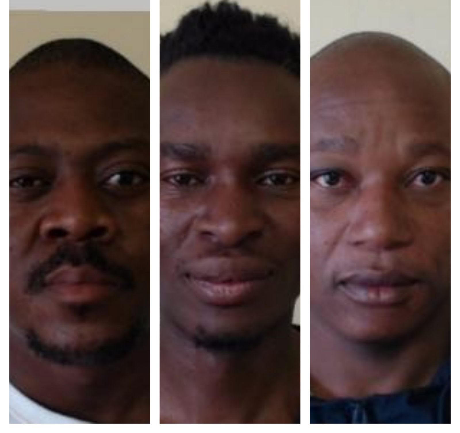 Rhino poachers sentenced to 39 years in jail